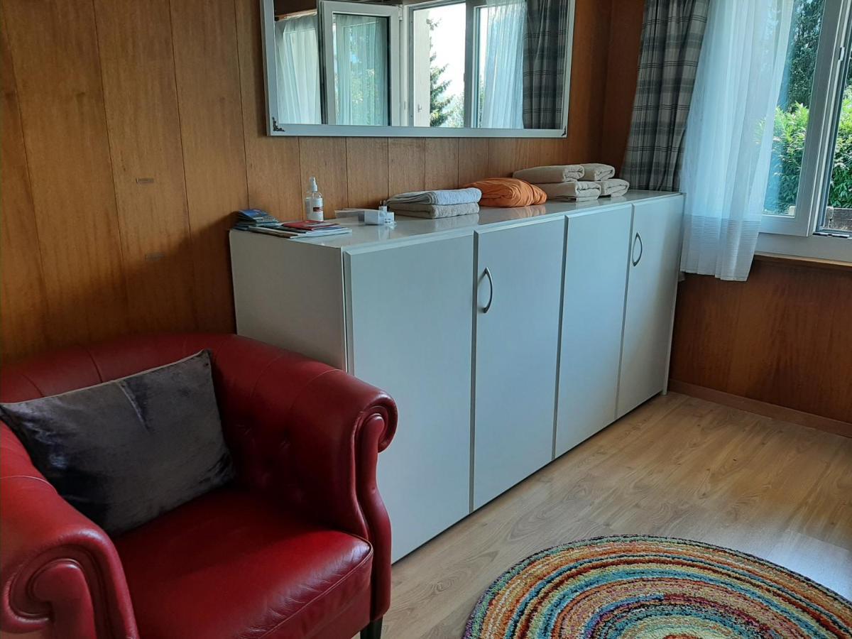 Chalet Apartment By Interlaken. Parking رينغنبرغ المظهر الخارجي الصورة